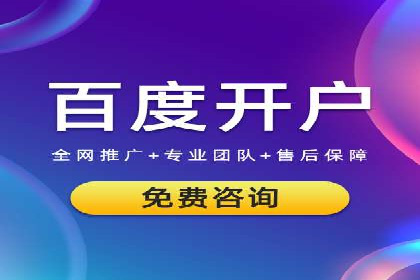 竞价广告案例分析：品牌成功之道
